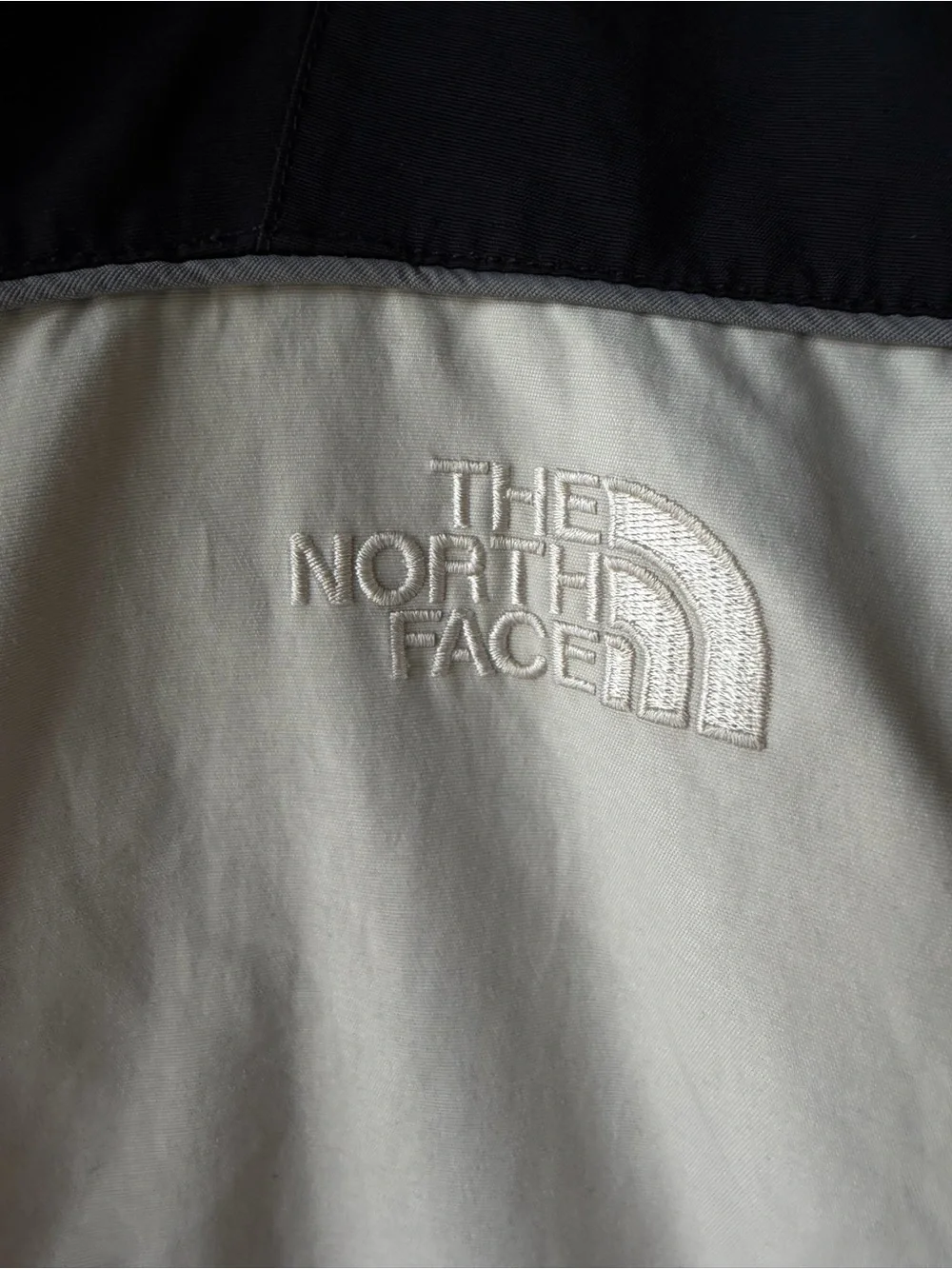 The North Face technical ski